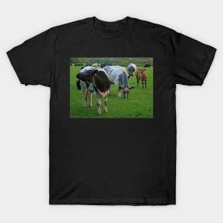 Hey, wotcha looking at ... T-Shirt